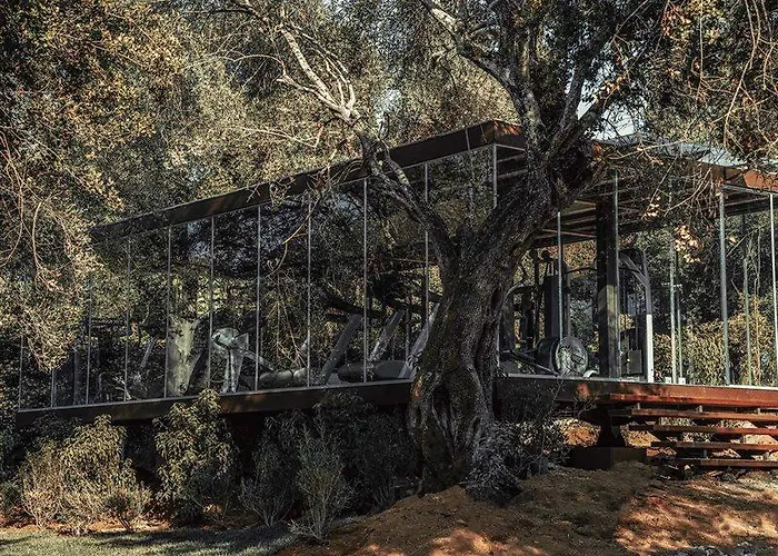 Hotel Cook's Club Corfu - Adults Only