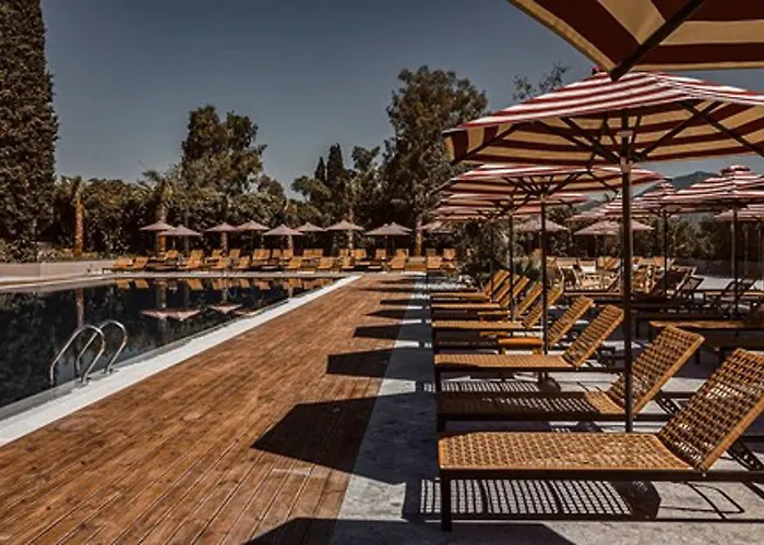 Cook's Club Corfu - Adults Only Otel